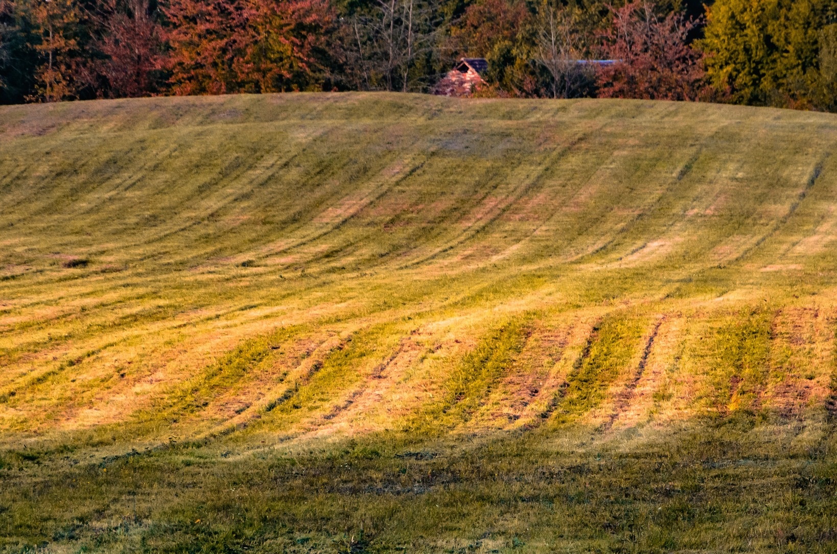 Biuro Rolnictwa i Rozwoju Wsi