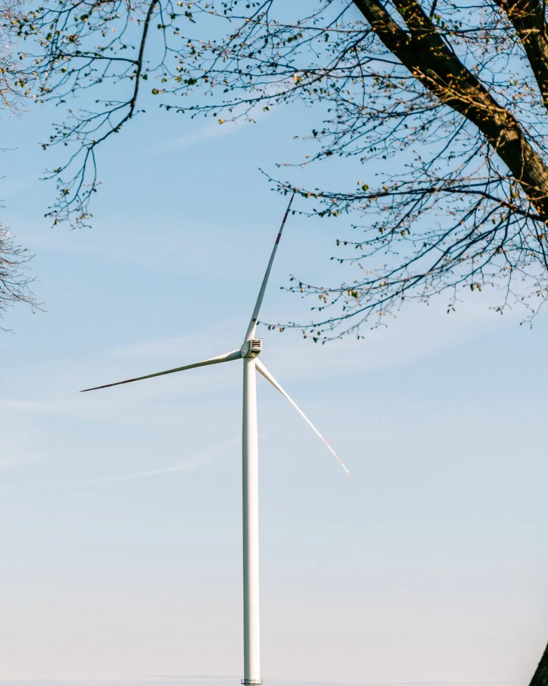 Zielona energia motorem rozwoju gospodarczego Pomorza Zachodniego. Korzyści dla firm, samorządów i pracowników