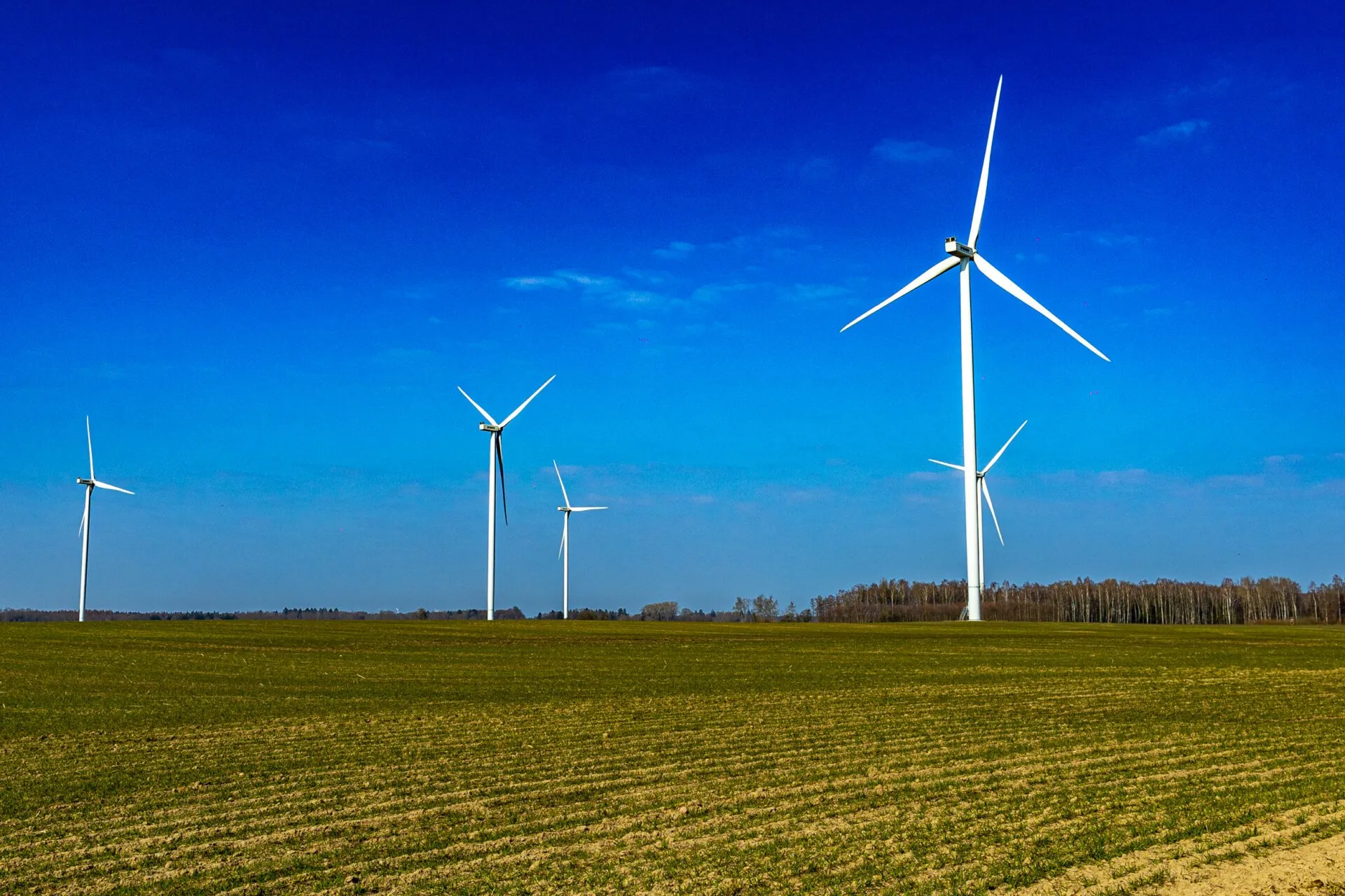 Pomorze Zachodnie sercem energetyki wiatrowej. Które elementy łańcucha dostaw odgrywają kluczową rolę?