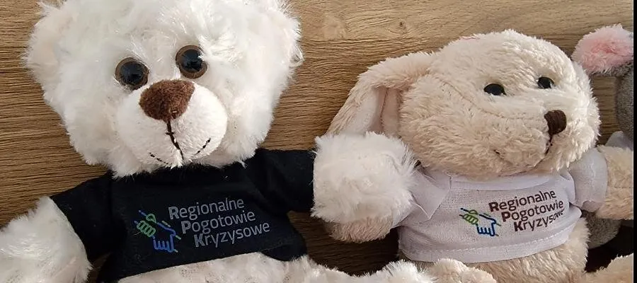 Regionalne Centrum Kryzysowe