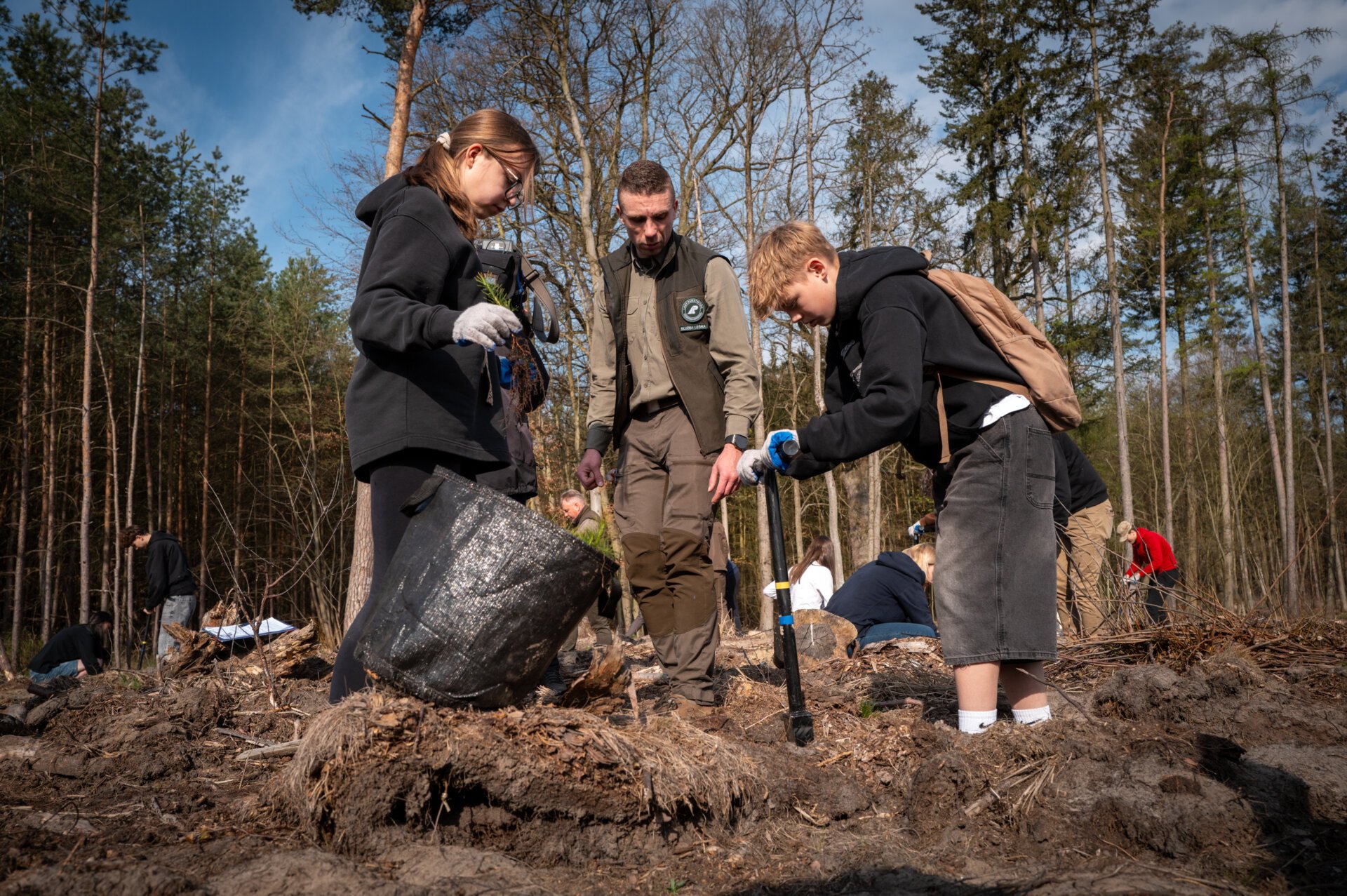 uczniowie sadzą drzewo, czynności tej przyglada sie leśnik