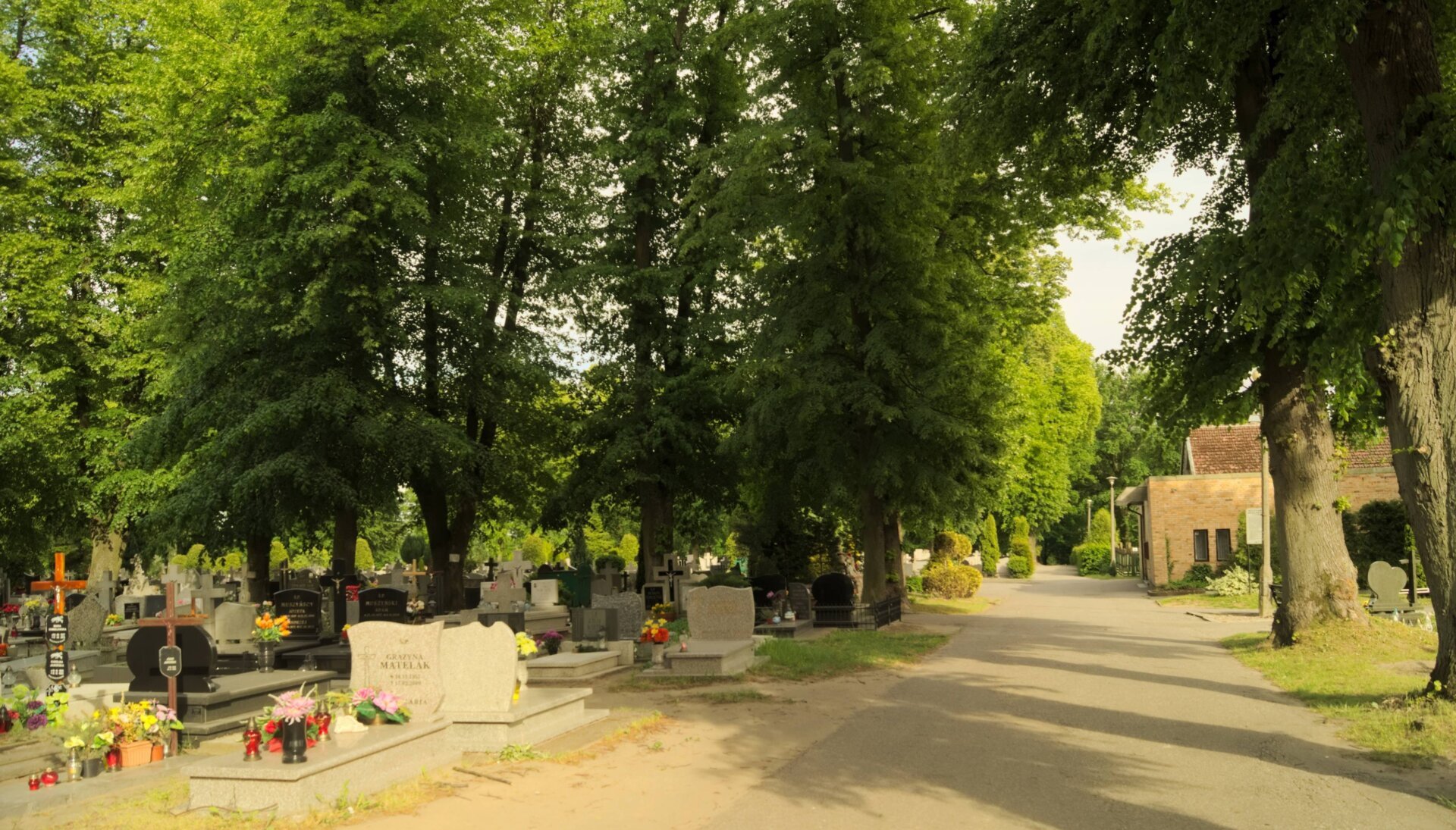 Widok na cmentarz w Sławnie od strony jednej z alejek, w tle nagrobki i zieleń.