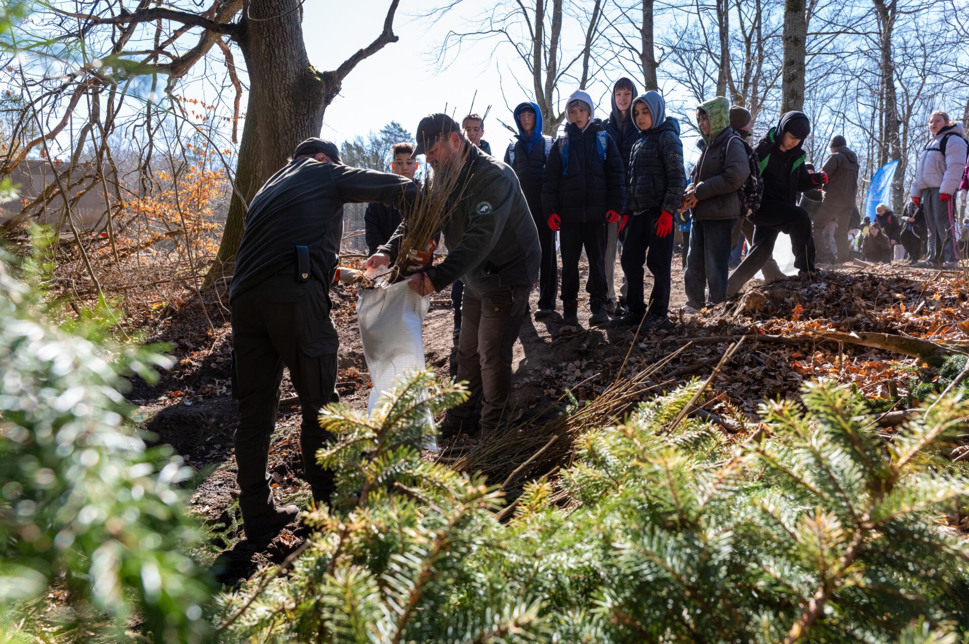 leśnicy szykują się do akcji i wkładają sadzonki do białych worków transportowych