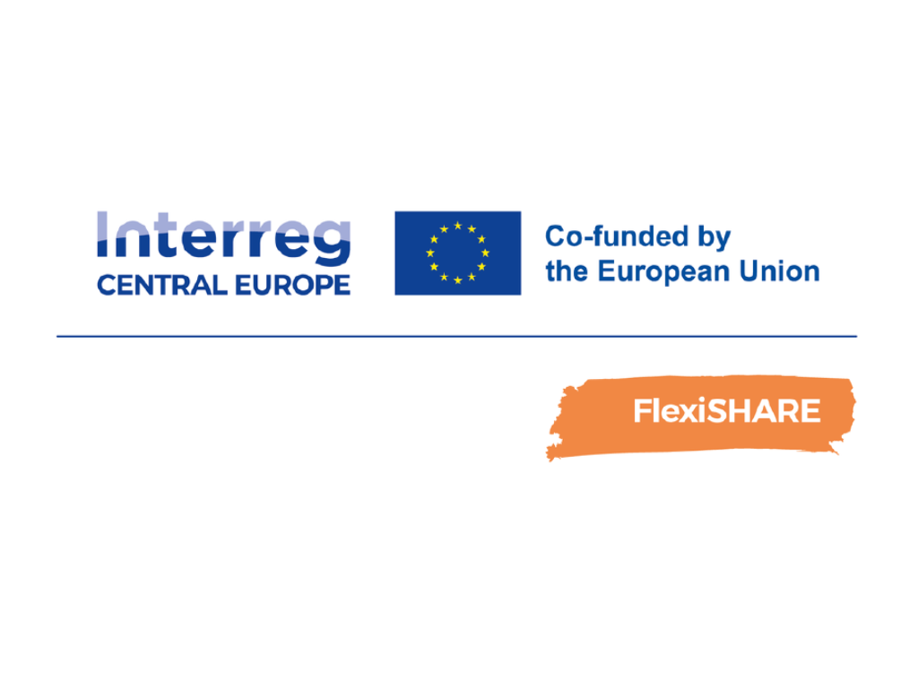 Logotyp projketu FlexiShare
