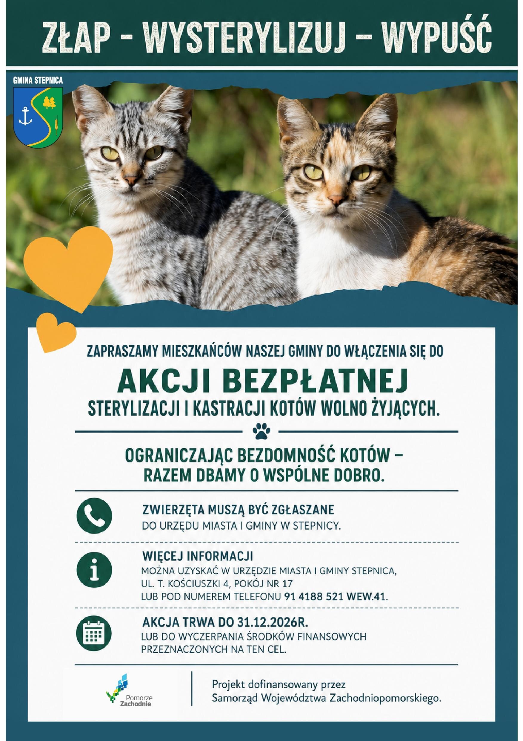 plakat z informacja o sterylizacji kastracji kotów wolno żyjących w tle zdjęcie dwóch kotów