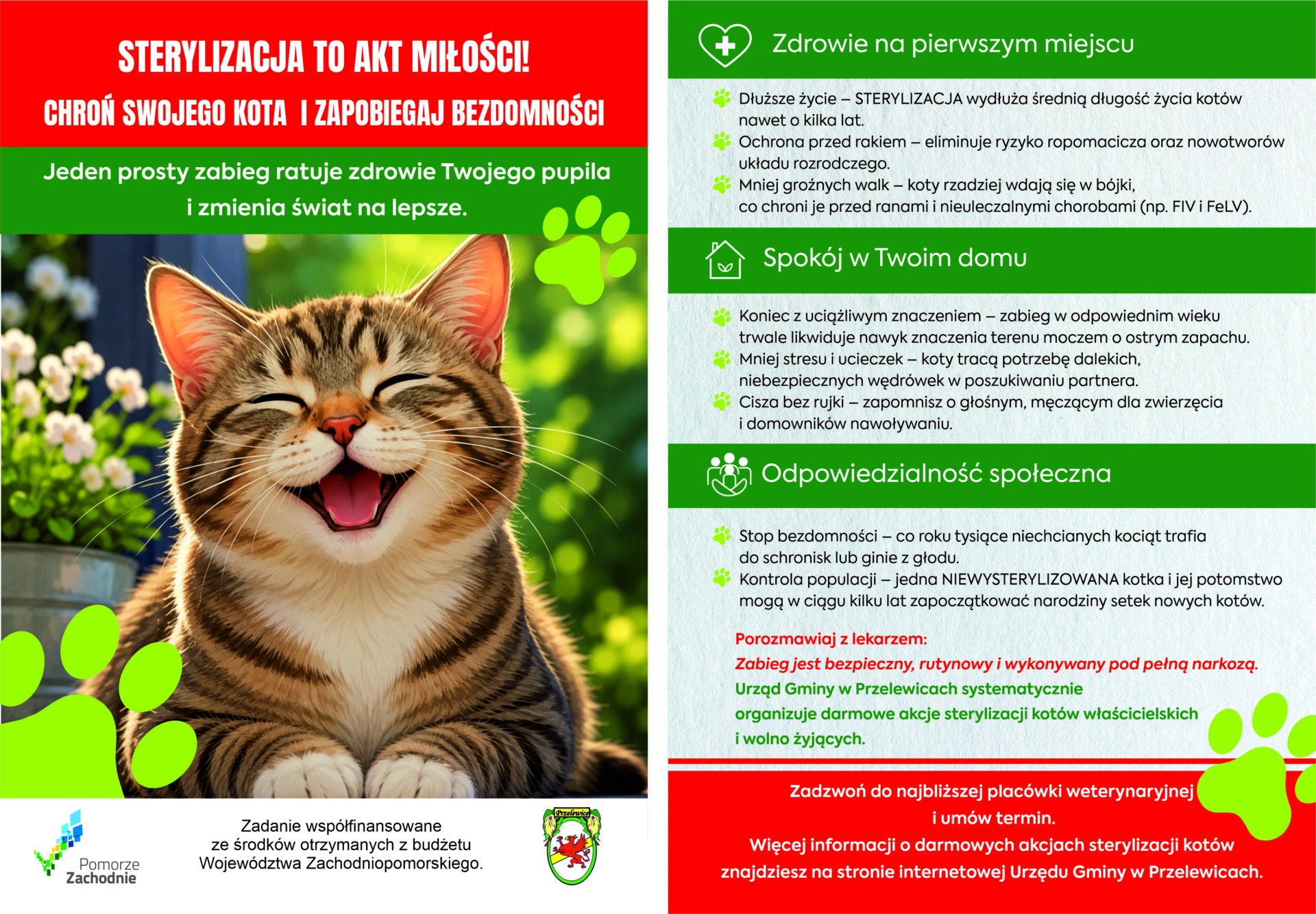 ulotka z informacją o sterylizacji kastracji zwierząt w gminie Przelewice na zdjęciu kot