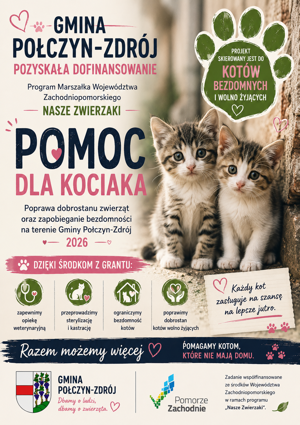 na plakacie dwa małe kotki, informacja o programie zapobiegania bezdomności zwierząt na terenie Gminy Połczyn-Zdrój