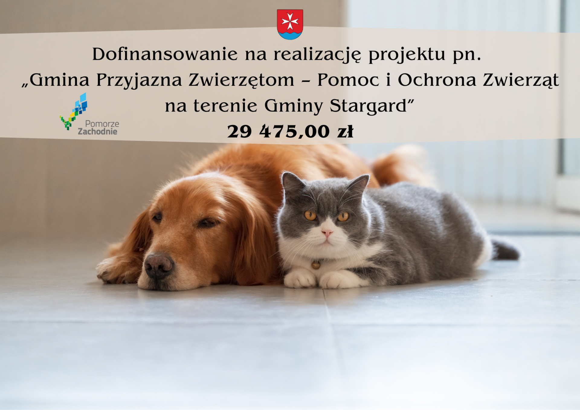 informacja o dofinansowaniu projektu pomocy i ochrony zwierząt w gminie Stargard, na zdjęciu kot i pies