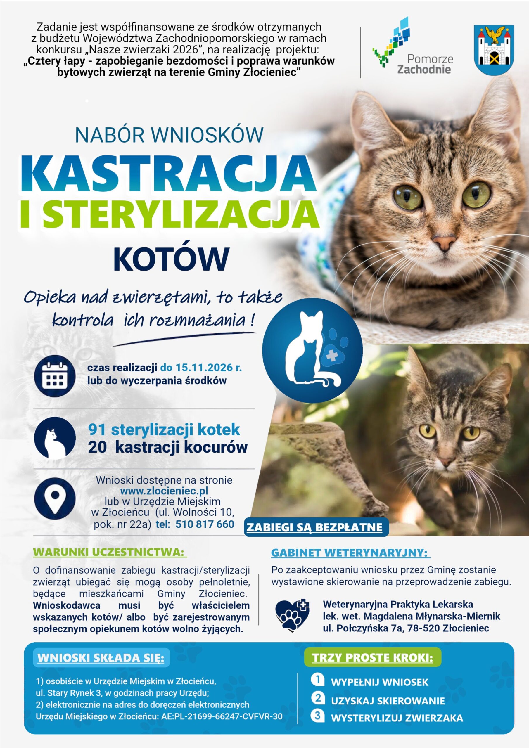 plakat z informacją o bezpłatnej sterylizacji i kastarcji kotów do 15 listopad nabór wniosków w Gminie Złocieniec. Plakat w kolorze białym, niebieskim i zielonym, na plakacie dwa koty szare